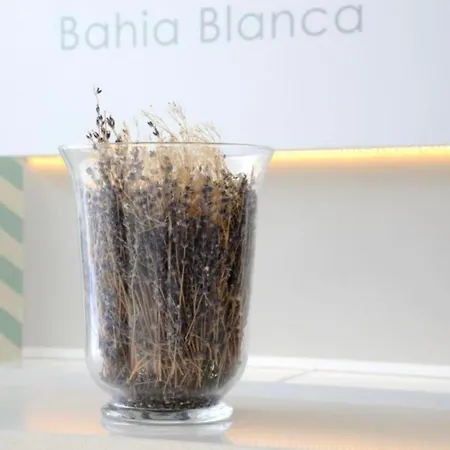 Bahia Club